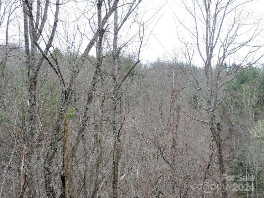 2271 Gouges Creek Road, Spruce Pine, NC 28777.  MLS# CAR4202059, YatesRealty ID 13919. 