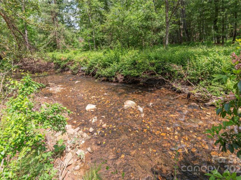 353 Dingle Creek Lane, Asheville, NC 28803.  MLS# CAR4258995, YatesRealty ID 13922. Dingle Creek Bordering Property