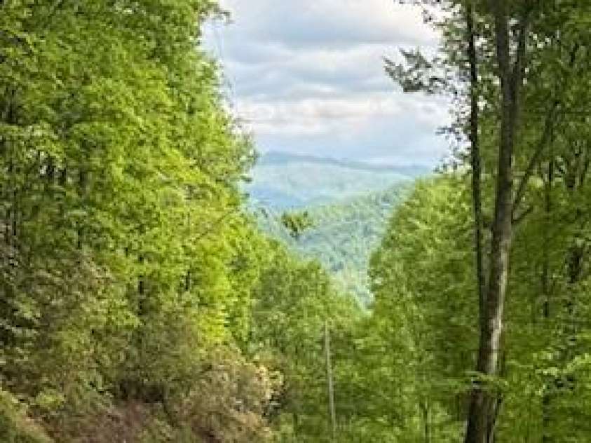 265 Gobbler Ridge, Sylva, NC 28779.  MLS# CAR4256383, YatesRealty ID 13958. 