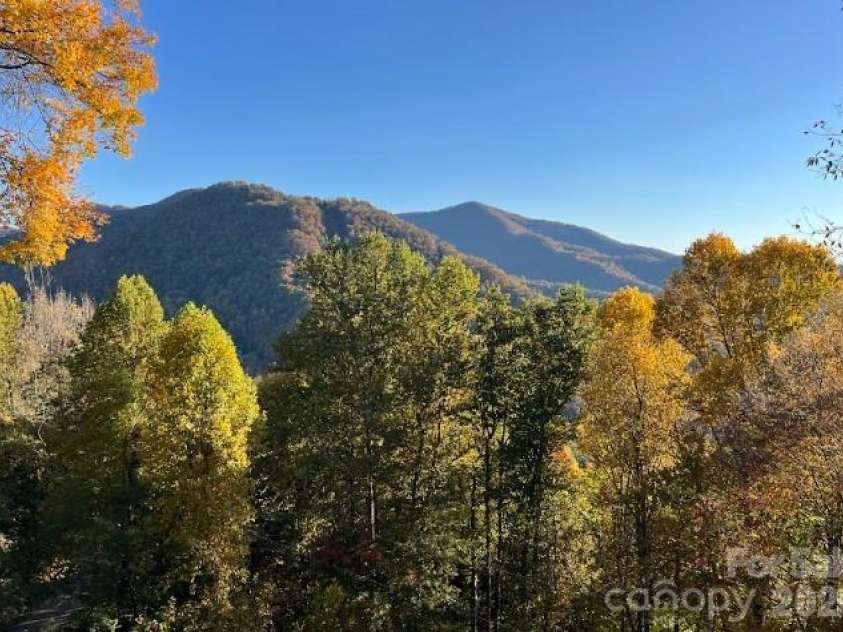 1426 Setzer Cove Road, Maggie Valley, NC 28751.  MLS# CAR4249259, YatesRealty ID 13972. The colors of fall...