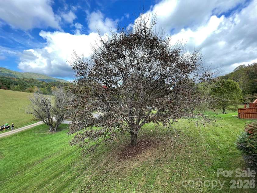 205 L And E Meadows Drive, Waynesville, NC 28786.  MLS# CAR4309569, YatesRealty ID 14001. 