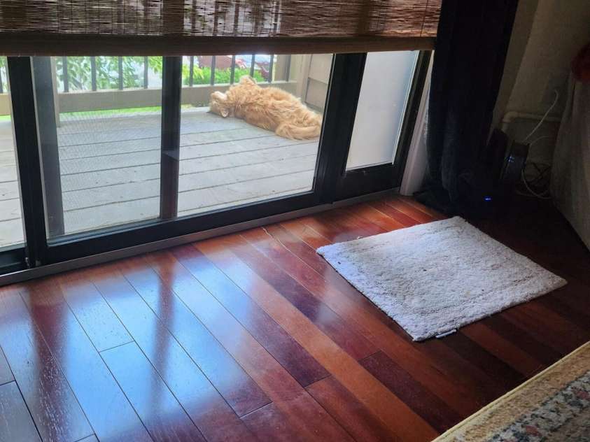 36 Ravencroft Lane, Asheville, NC 28803.  MLS# CAR4352212, YatesRealty ID 14033. 