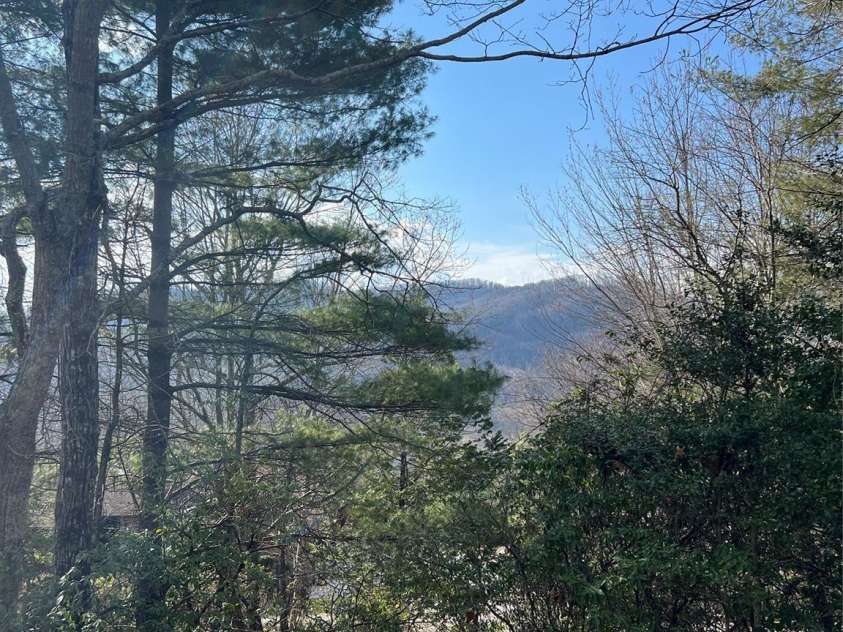 16 Cedar Drive, Mills River, NC 28759.  MLS# CAR4148510, YatesRealty ID 14036. 