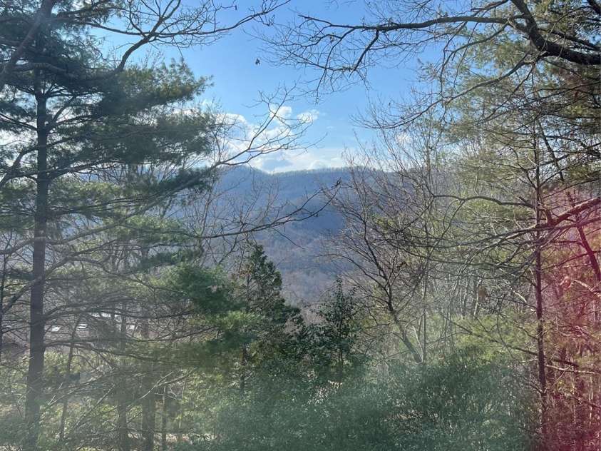 16 Cedar Drive, Mills River, NC 28759.  MLS# CAR4148510, YatesRealty ID 14036. 