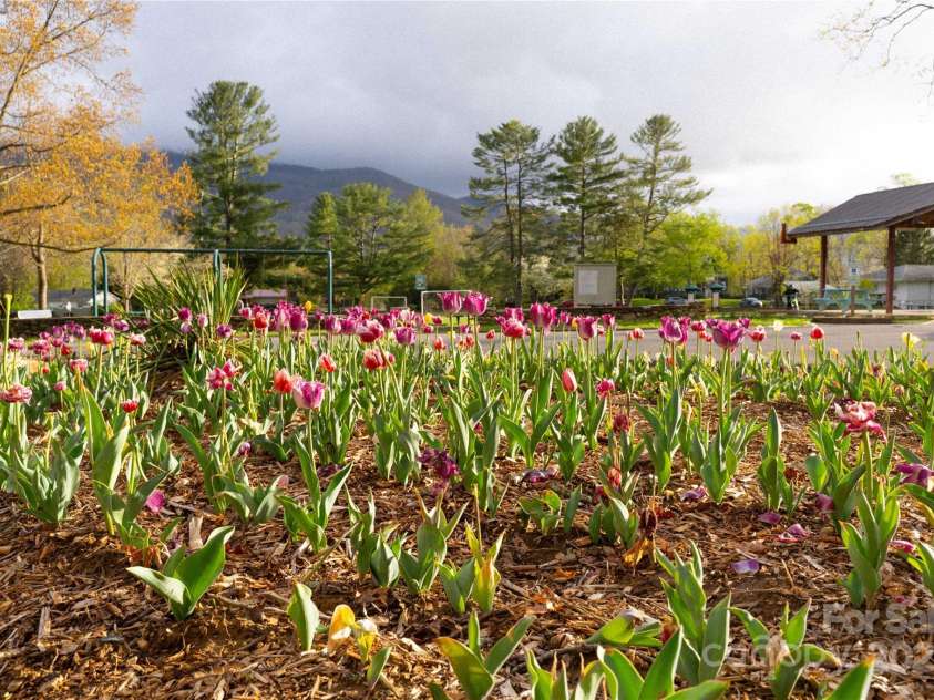 100 Park Ridge Avenue, Swannanoa, NC 28778.  MLS# CAR4253460, YatesRealty ID 14037. Tulip Garden at Grovemont Community Park