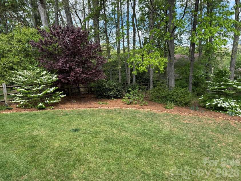10919 Jordan Rae Lane, Charlotte, NC 28277.  MLS# CAR4361013, YatesRealty ID 14042. Back Yard