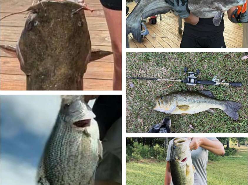 11133 Willow Oak Road, Norwood, NC 28128.  MLS# CAR4310555, YatesRealty ID 1407. 