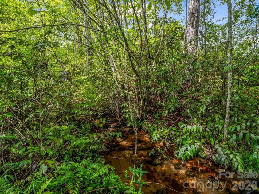 29 Stonehollow Lane, Brevard, NC 28712.  MLS# CAR4347760, YatesRealty ID 14076. Creek