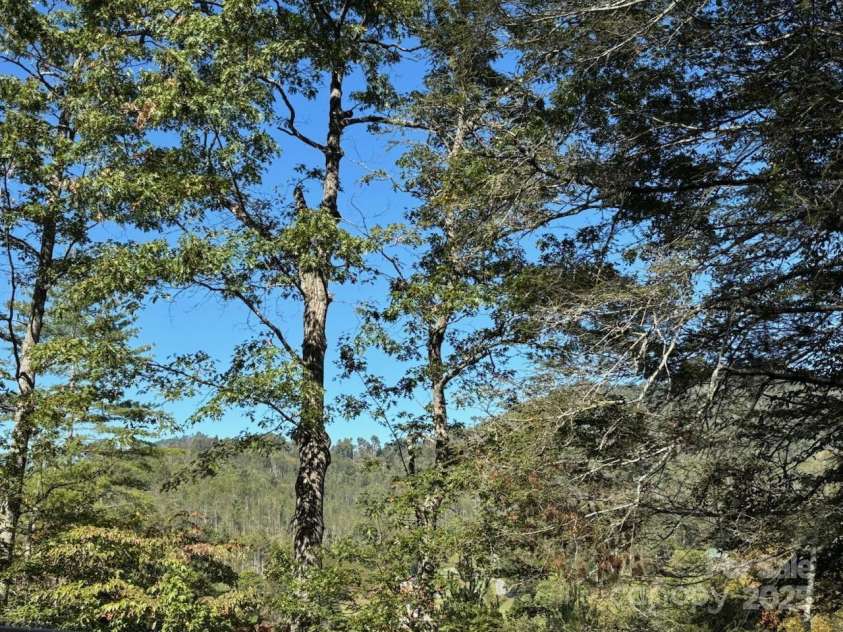 493 Spring Hill Road, Bakersville, NC 28705.  MLS# CAR4308372, YatesRealty ID 14115. View