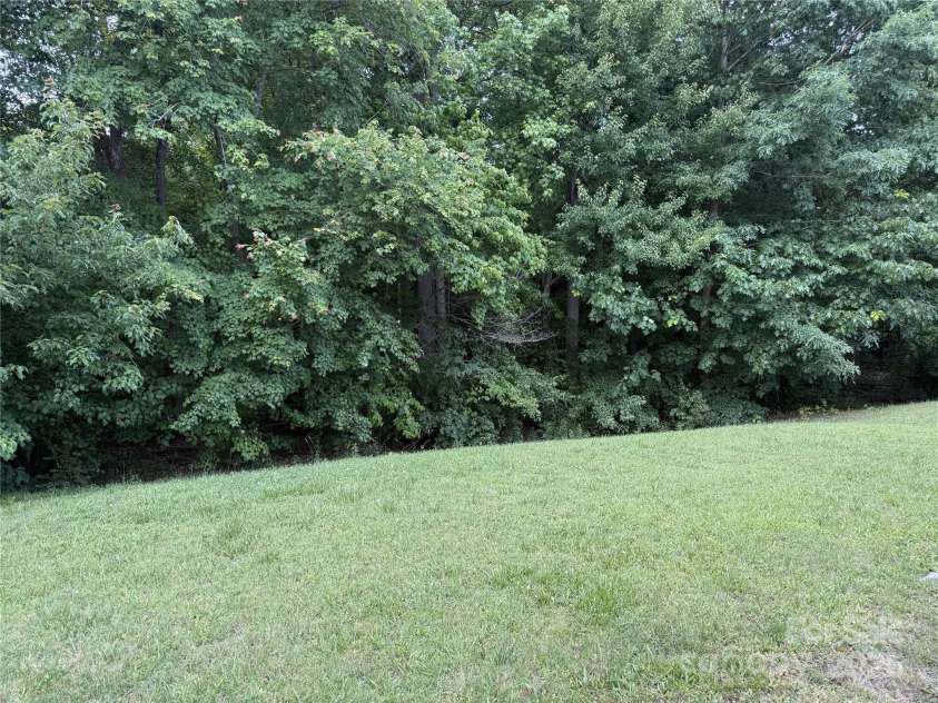 1623 Flagler Lane, Charlotte, NC 28216.  MLS# CAR4257918, YatesRealty ID 14180. Back yard view