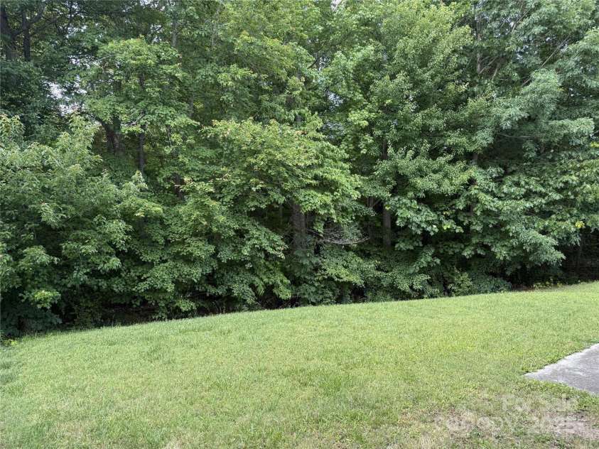 1623 Flagler Lane, Charlotte, NC 28216.  MLS# CAR4257918, YatesRealty ID 14180. Back yard view