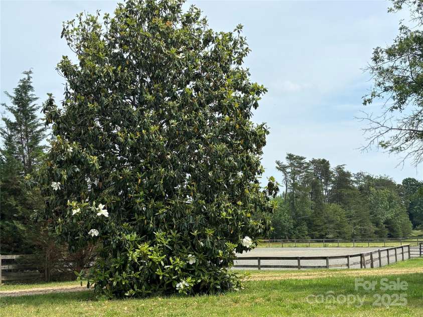 1896 Green Creek Drive, Tryon, NC 28782.  MLS# CAR4258219, YatesRealty ID 14223. 