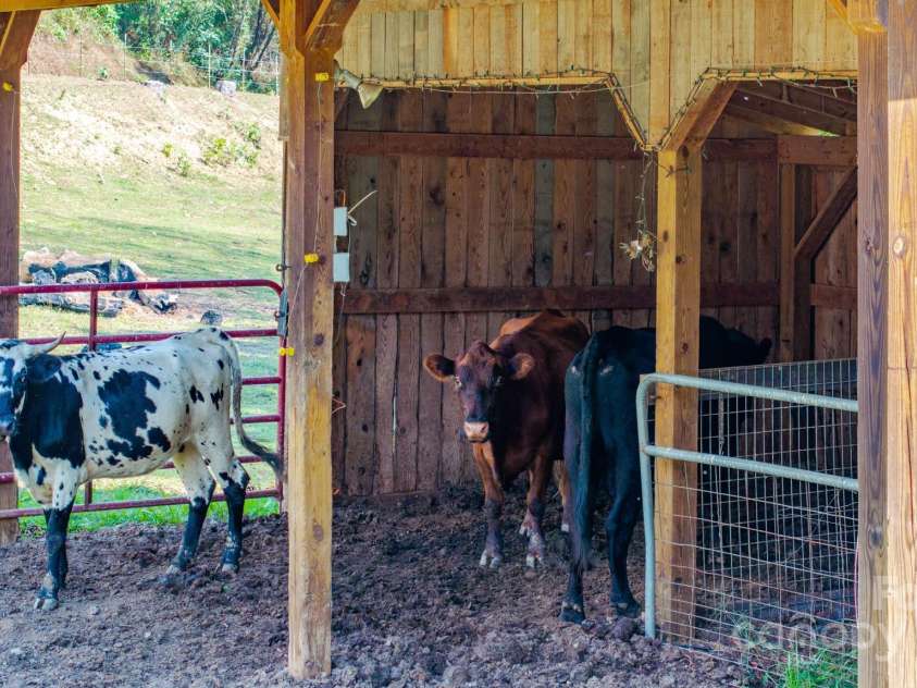 2906 Rabbit Skin Road, Waynesville, NC 28785.  MLS# CAR4183385, YatesRealty ID 14265. 