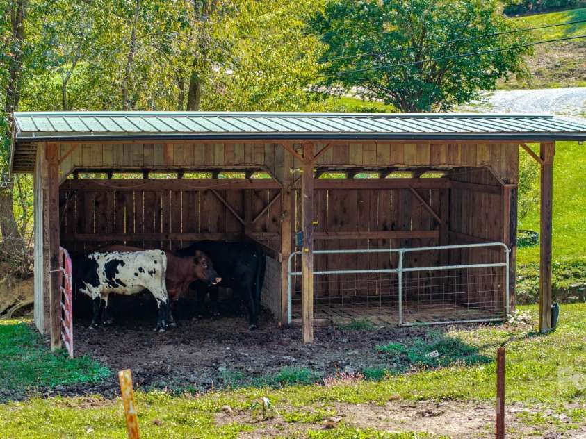2906 Rabbit Skin Road, Waynesville, NC 28785.  MLS# CAR4183385, YatesRealty ID 14265. Barn in large pasture