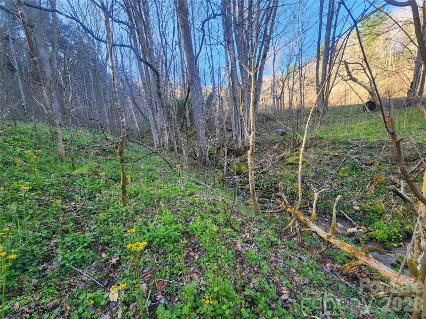 1025 Chandler Cove Road, Marshall, NC 28753.  MLS# CAR4360590, YatesRealty ID 14282. 