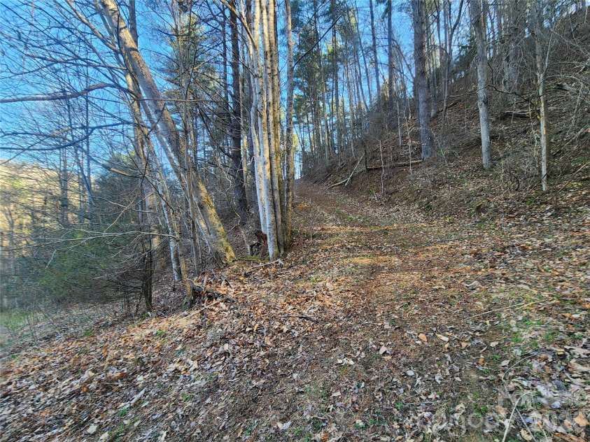 1025 Chandler Cove Road, Marshall, NC 28753.  MLS# CAR4360590, YatesRealty ID 14282. 