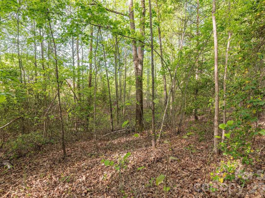 482 Jm Lovelace Road, Ellenboro, NC 28040.  MLS# CAR4370067, YatesRealty ID 14284. 