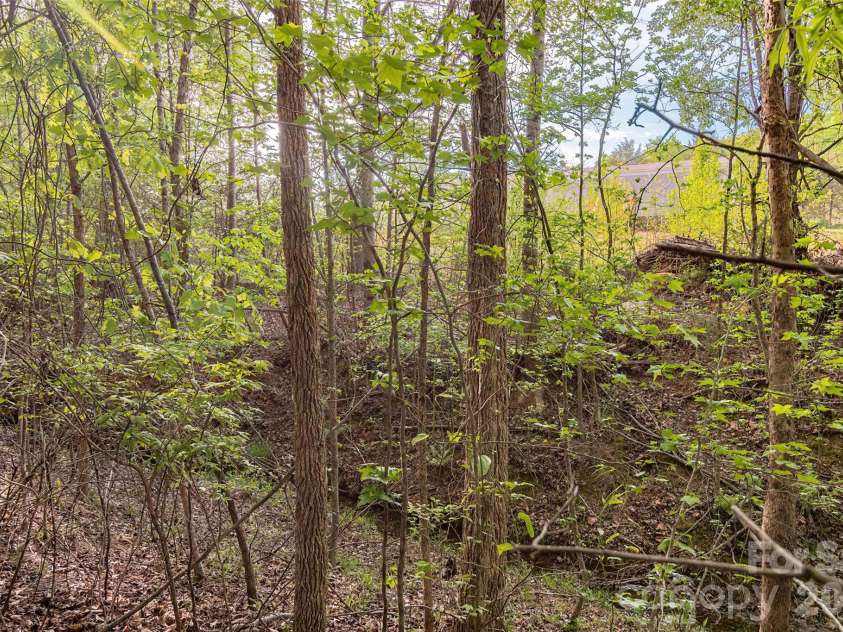482 Jm Lovelace Road, Ellenboro, NC 28040.  MLS# CAR4370067, YatesRealty ID 14284. 