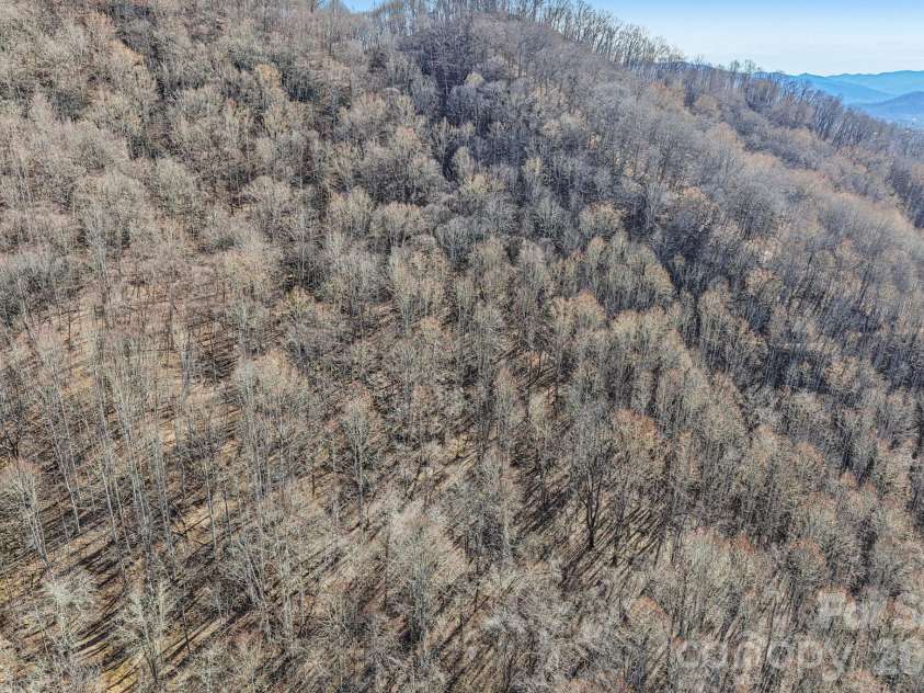 530 Wilson Cove Road, Canton, NC 28716.  MLS# CAR4345782, YatesRealty ID 14297. 