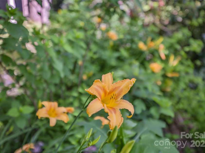 56 Faraway Drive, Cullowhee, NC 28723.  MLS# CAR4272041, YatesRealty ID 143. 