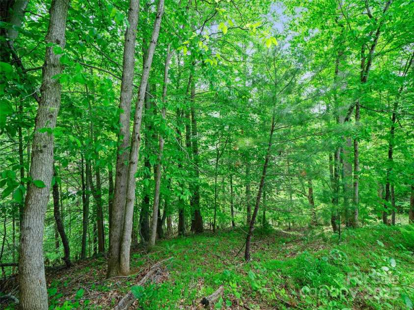 289 Bailey Settlement Road, Green Mountain, NC 28740.  MLS# CAR4258714, YatesRealty ID 14315. 