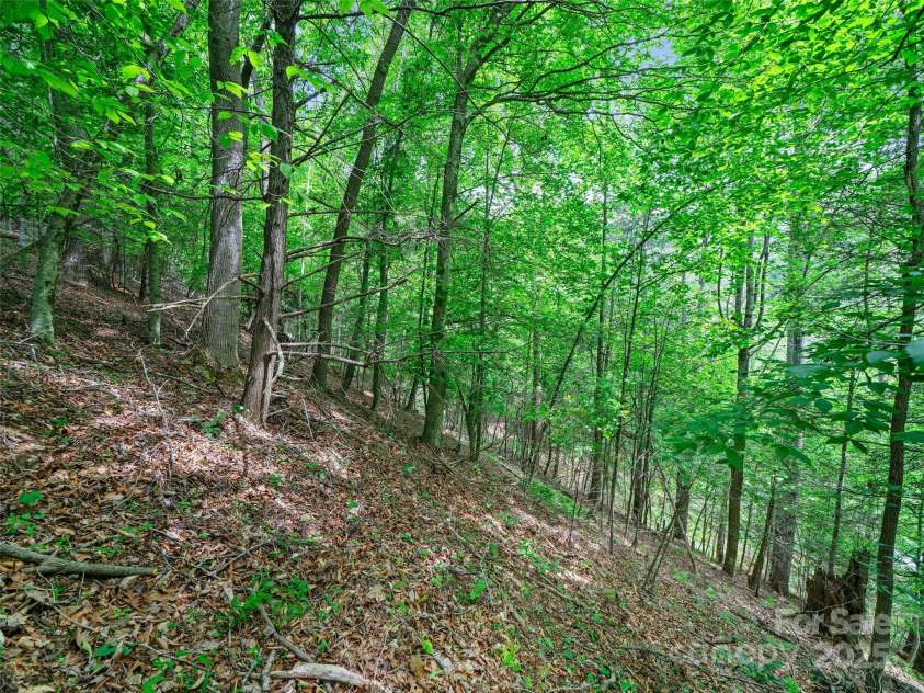 289 Bailey Settlement Road, Green Mountain, NC 28740.  MLS# CAR4258714, YatesRealty ID 14315. 