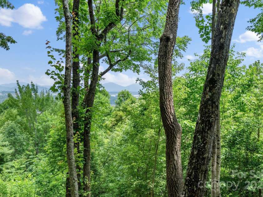 120 Split Rock Trail, Arden, NC 28704.  MLS# CAR4260238, YatesRealty ID 14380. 