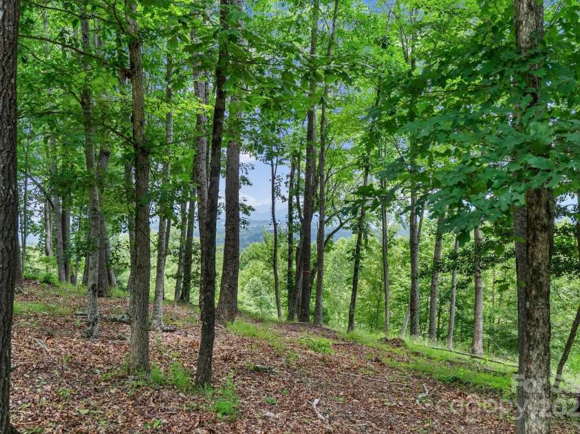 120 Split Rock Trail, Arden, NC 28704.  MLS# CAR4260238, YatesRealty ID 14380. 
