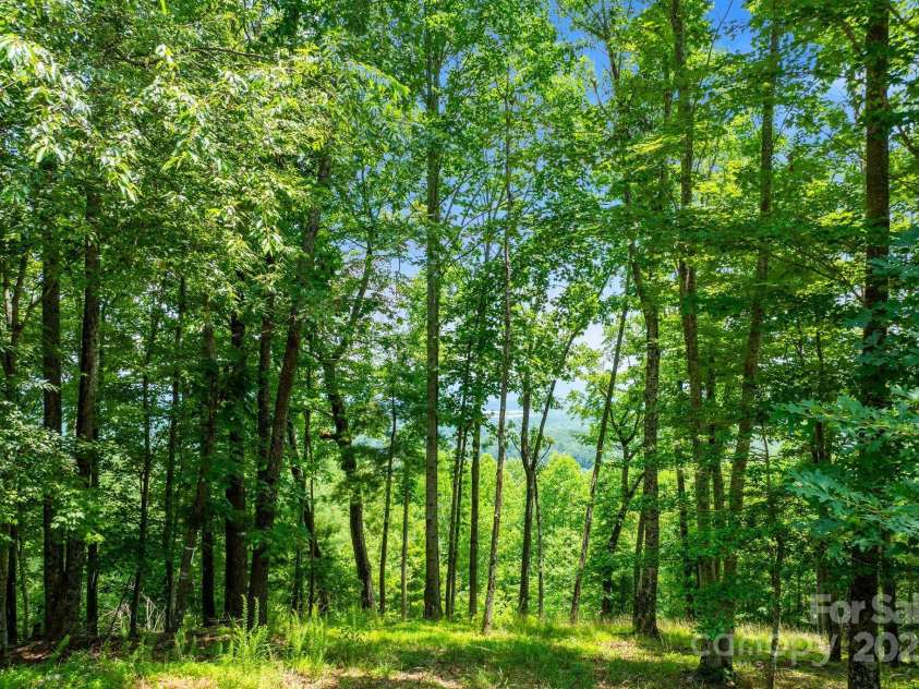 120 Split Rock Trail, Arden, NC 28704.  MLS# CAR4260238, YatesRealty ID 14380. 