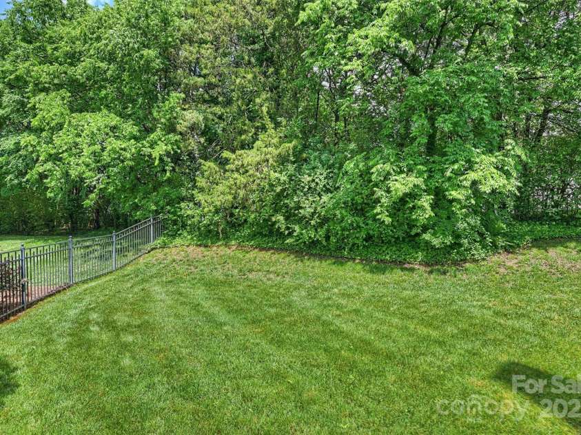 6723 Joliette Lane, Charlotte, NC 28277.  MLS# CAR4251689, YatesRealty ID 14414. Back Yard, left side