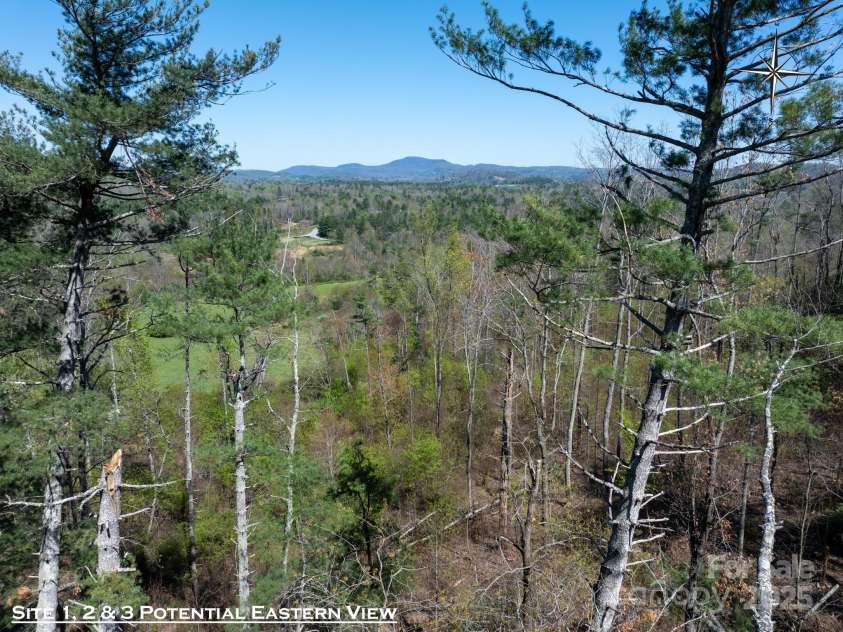 137 Onuska View Drive, Hendersonville, NC 28792.  MLS# CAR4261195, YatesRealty ID 14437. 