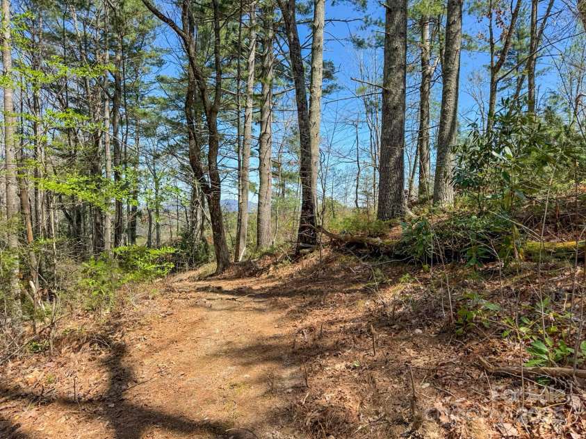 137 Onuska View Drive, Hendersonville, NC 28792.  MLS# CAR4261195, YatesRealty ID 14437. 