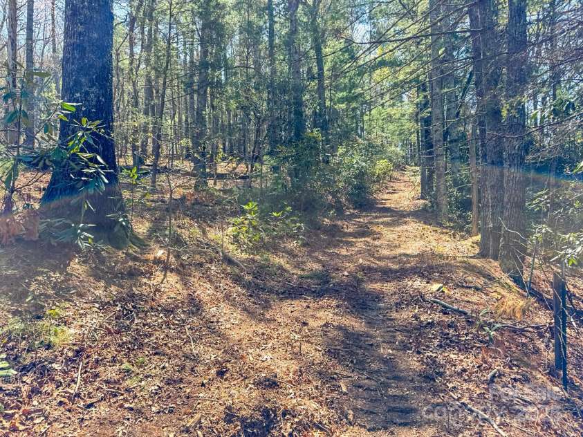 137 Onuska View Drive, Hendersonville, NC 28792.  MLS# CAR4261195, YatesRealty ID 14437. 