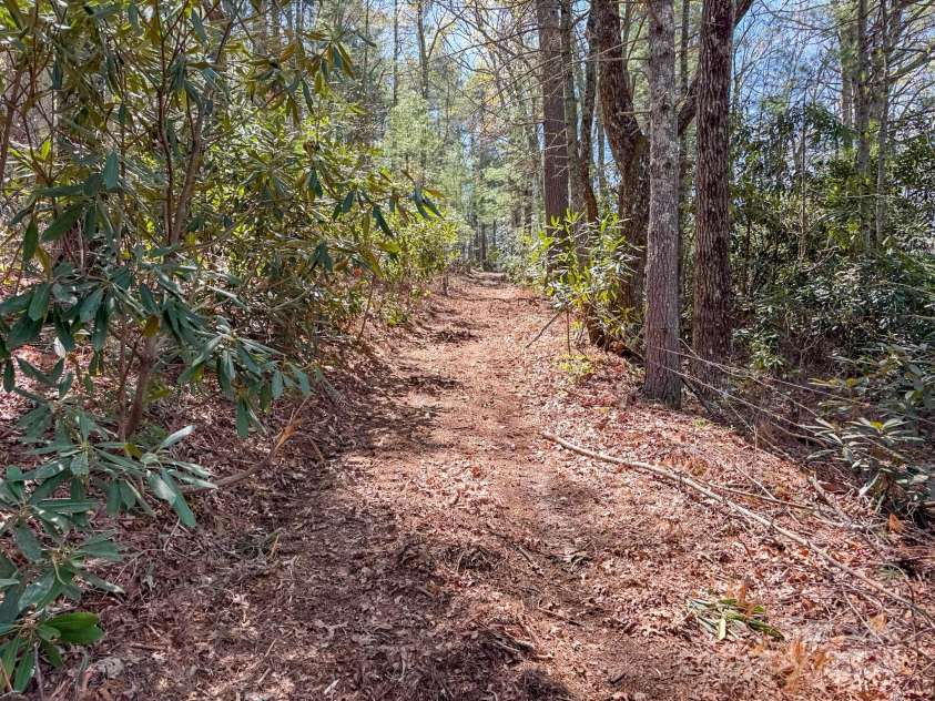 137 Onuska View Drive, Hendersonville, NC 28792.  MLS# CAR4261195, YatesRealty ID 14437. 