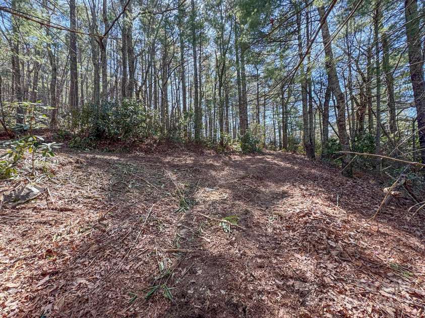 137 Onuska View Drive, Hendersonville, NC 28792.  MLS# CAR4261195, YatesRealty ID 14437. 