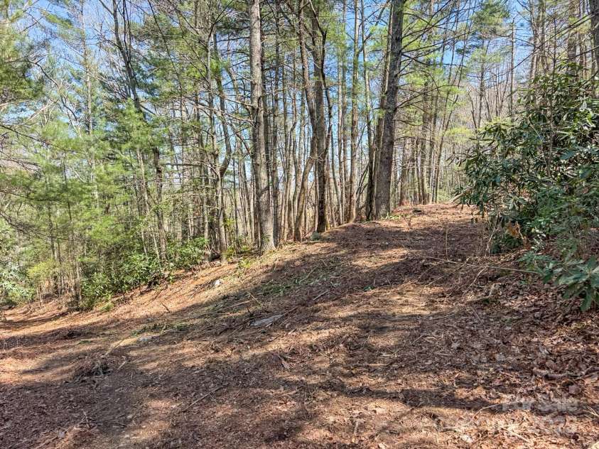 137 Onuska View Drive, Hendersonville, NC 28792.  MLS# CAR4261195, YatesRealty ID 14437. 