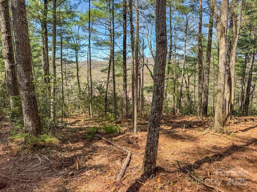 137 Onuska View Drive, Hendersonville, NC 28792.  MLS# CAR4261195, YatesRealty ID 14437. 