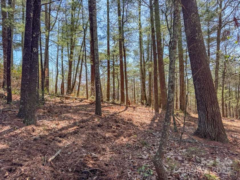 137 Onuska View Drive, Hendersonville, NC 28792.  MLS# CAR4261195, YatesRealty ID 14437. 