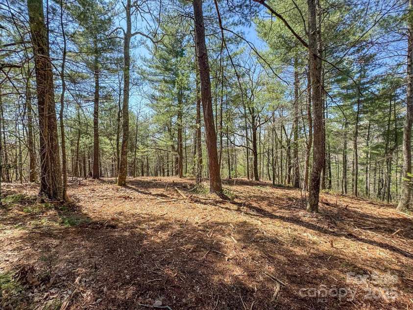 137 Onuska View Drive, Hendersonville, NC 28792.  MLS# CAR4261195, YatesRealty ID 14437. 