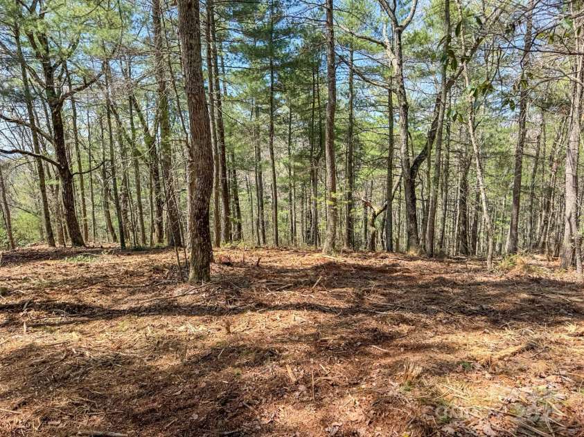 137 Onuska View Drive, Hendersonville, NC 28792.  MLS# CAR4261195, YatesRealty ID 14437. 