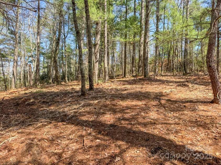 137 Onuska View Drive, Hendersonville, NC 28792.  MLS# CAR4261195, YatesRealty ID 14437. 