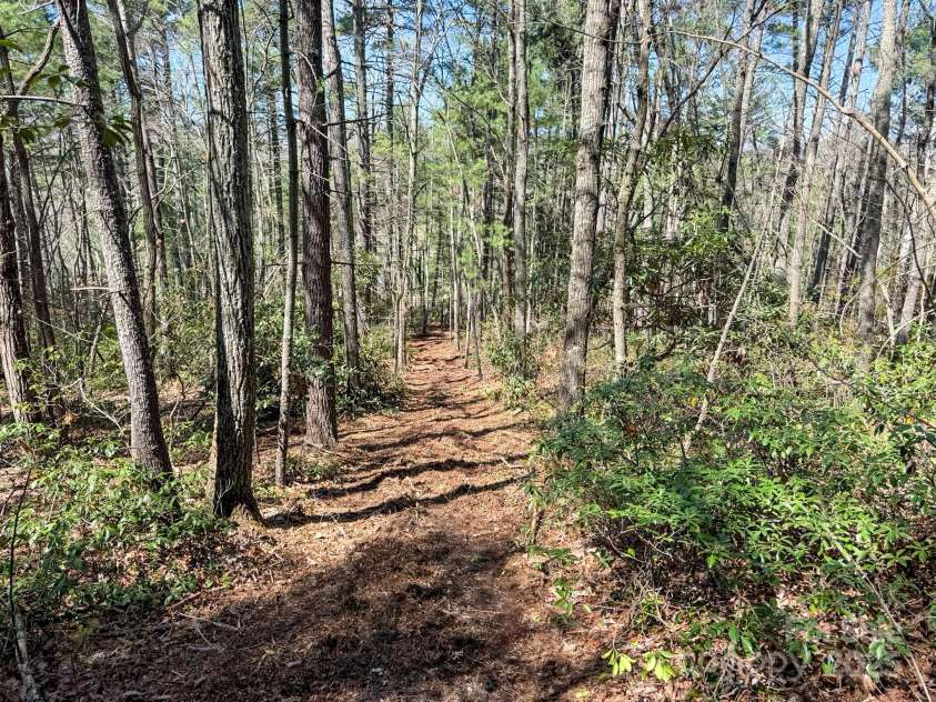 137 Onuska View Drive, Hendersonville, NC 28792.  MLS# CAR4261195, YatesRealty ID 14437. 