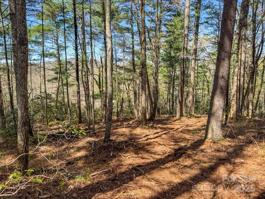 137 Onuska View Drive, Hendersonville, NC 28792.  MLS# CAR4261195, YatesRealty ID 14437. 