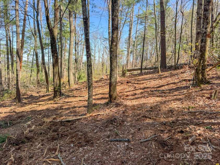 137 Onuska View Drive, Hendersonville, NC 28792.  MLS# CAR4261195, YatesRealty ID 14437. 