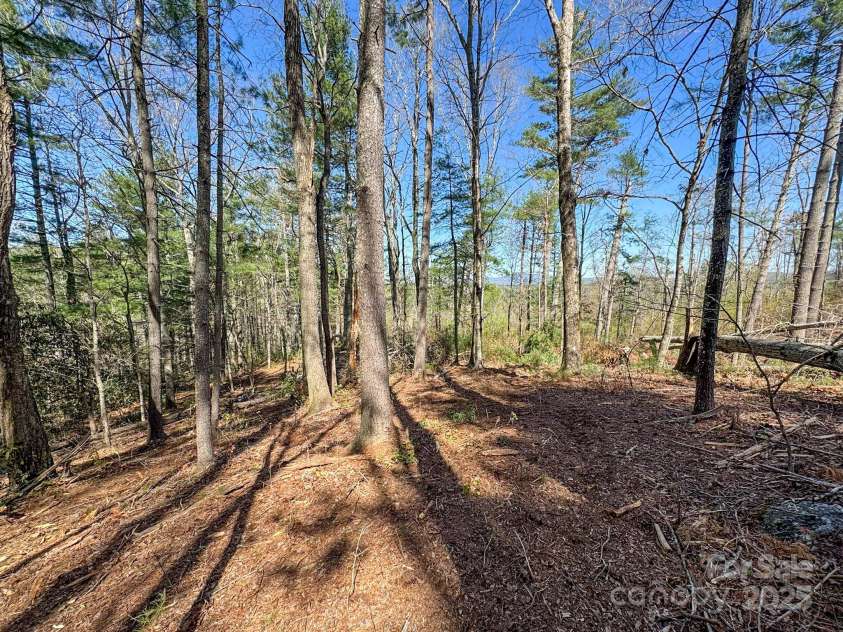 137 Onuska View Drive, Hendersonville, NC 28792.  MLS# CAR4261195, YatesRealty ID 14437. 