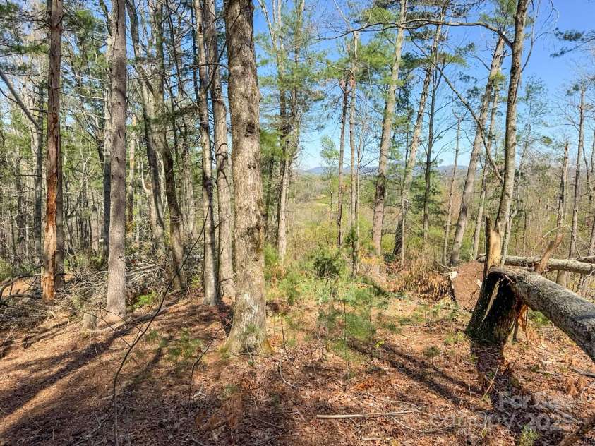 137 Onuska View Drive, Hendersonville, NC 28792.  MLS# CAR4261195, YatesRealty ID 14437. 