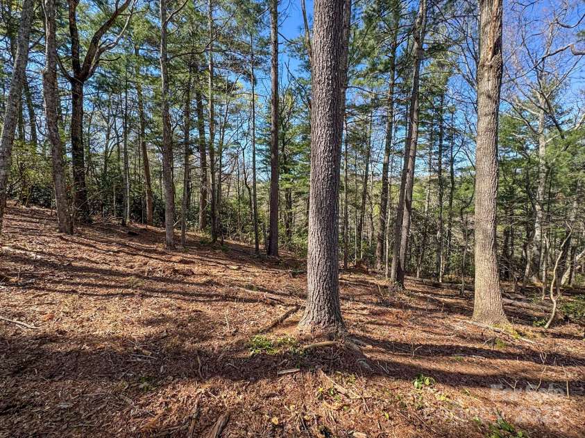 137 Onuska View Drive, Hendersonville, NC 28792.  MLS# CAR4261195, YatesRealty ID 14437. 