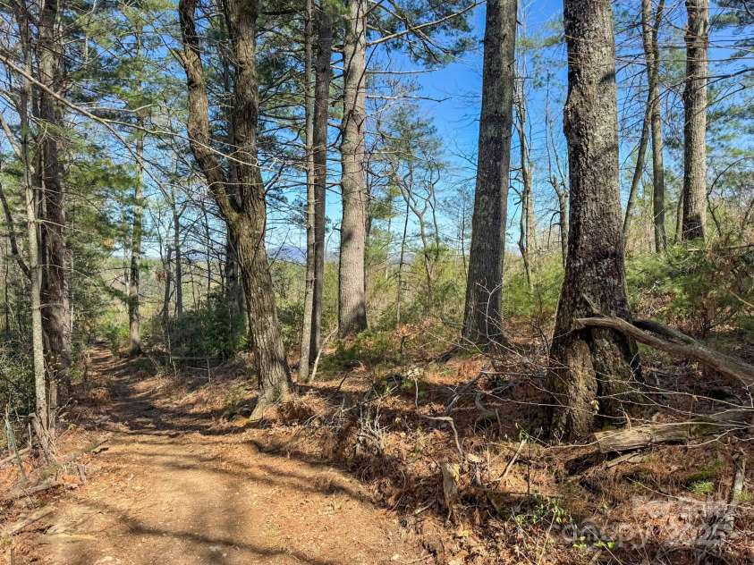 137 Onuska View Drive, Hendersonville, NC 28792.  MLS# CAR4261195, YatesRealty ID 14437. 