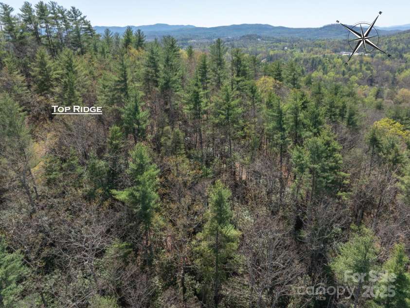 137 Onuska View Drive, Hendersonville, NC 28792.  MLS# CAR4261195, YatesRealty ID 14437. 