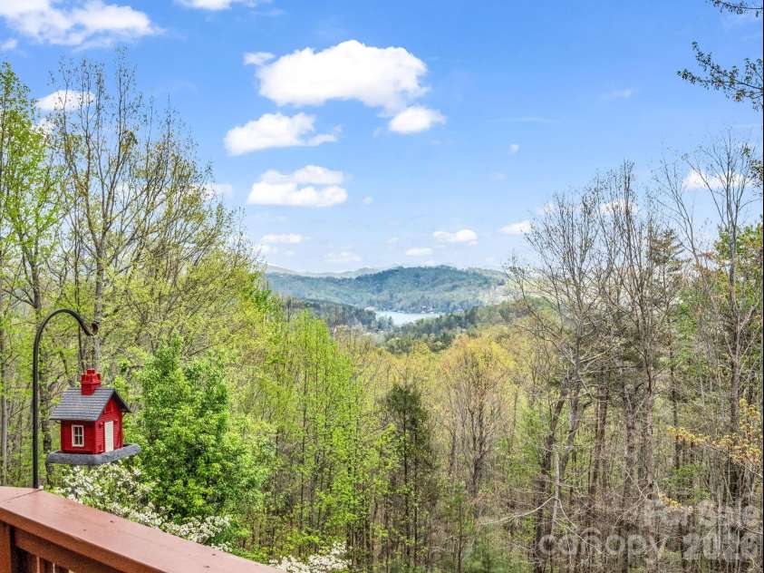 197 Thomas A Edison Road, Lake Lure, NC 28746.  MLS# CAR4361730, YatesRealty ID 14475. 